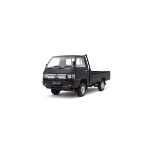 L 300